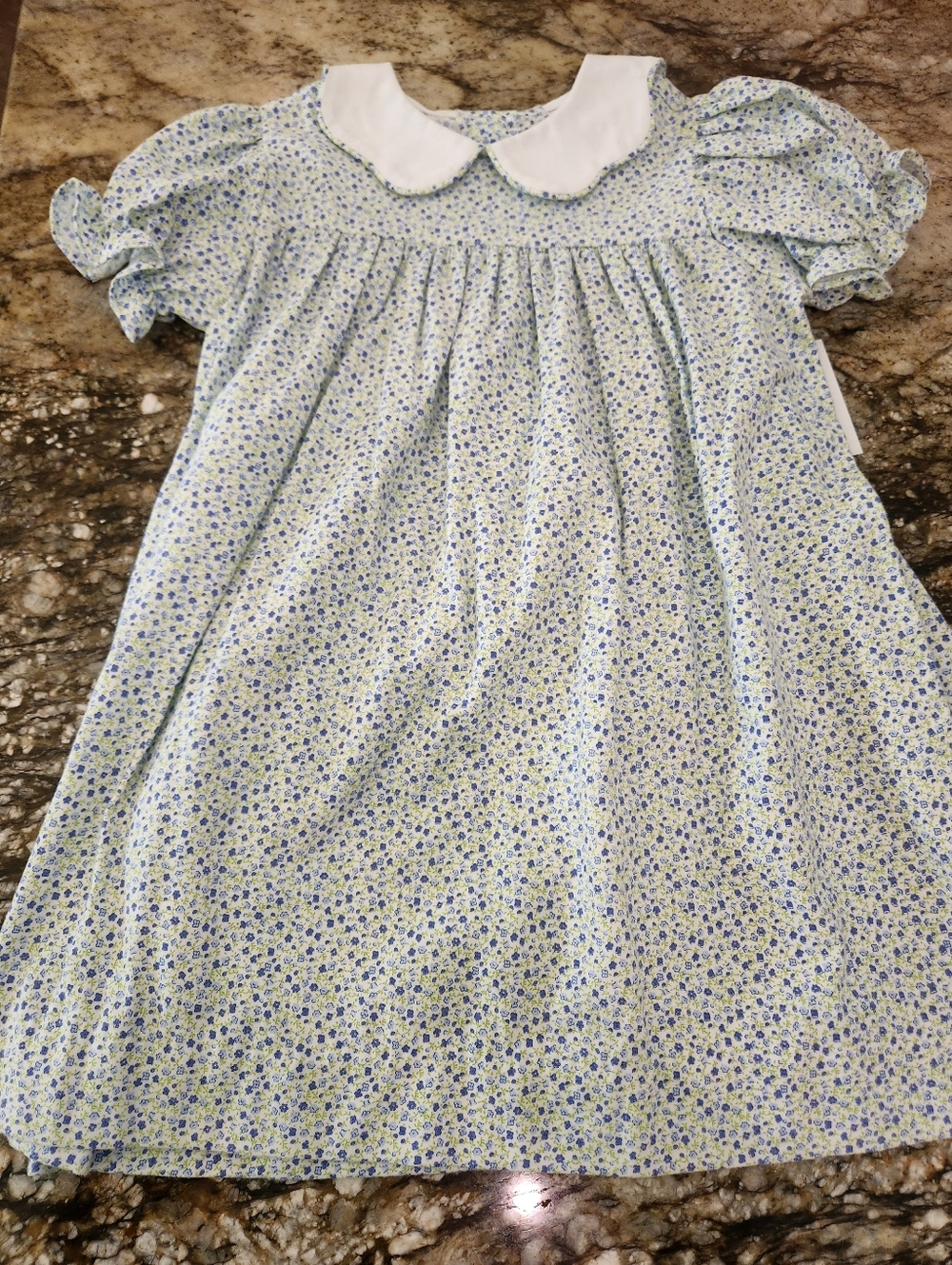 Girls' Floral Nightgown with White Peter Pan Collar - Blue/White